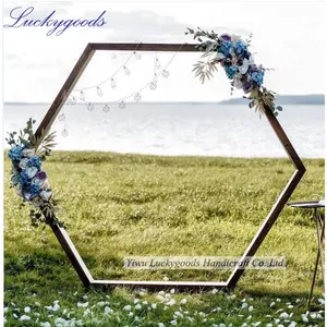 LG20190423-5 altıgen dövme metal kemer düğün backdrop sahne kemer çiçek dekorasyonu