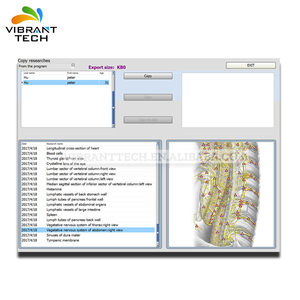 Ücretsiz kargo bioresonance medicomat <span class=keywords><strong>metatron</strong></span> 18d <span class=keywords><strong>nls</strong></span> vücut sağlığı Dedektörü - Product Image 3