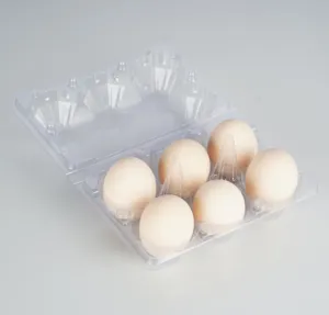 使い捨てプラスチック卵トレイ包装カートン