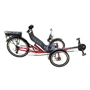 Pedal asistida yacente triciclo eléctrico de 3 ruedas establecer bicicleta para venta