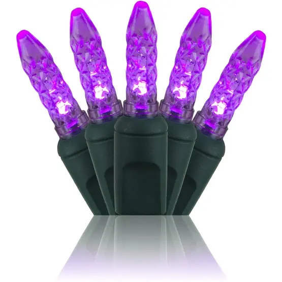 UL-gelistete M5 Mini Purple Transparente LED-Weihnachts lichterkette für den Urlaub