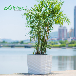Leizisure al por mayor jardín piso gran cubo cuadrado de plástico de riego verde <span class=keywords><strong>rota</strong></span> planta flor olla con ruedas - Product Image 2