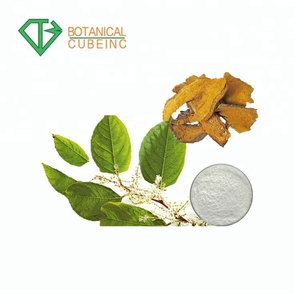 Pharmaceutiques Polygonum Cuspidatum Racine Extrait Japonais <span class=keywords><strong>Renou</strong></span>ée Resvératrol 98% - Product Image 1