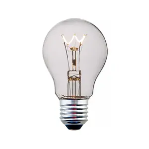 Incandescent bulb GLS A19/A60 40W/60W/75W/100W E27 Clear Bulb factory supplied hot selling bulbs