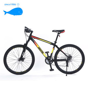 Top Brand cheap women carbon MTB Downhill - Product Image 5