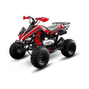 تخصيص الكهربائية مركبة ATV غطاء بلاستيكي ATV الجسم شل