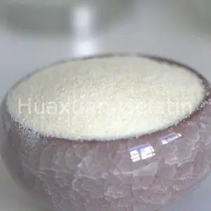 Industrial Adhesive Wholesale bulk Technical gelatin hide glue