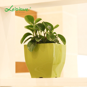 plástico PP resina cuadrado mesa escritorio de oficina pequeño mini planta suculenta hierba PLANTER macetas a granel - Product Image 3