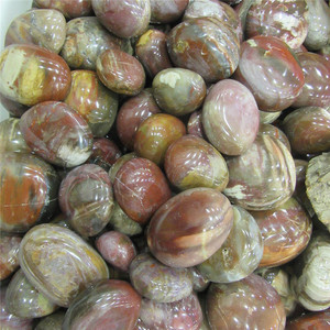 Wholesale Natural Polished Petrified Wood fossil Tumbled Stone Crystal Palm Stone