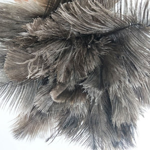 <span class=keywords><strong>Plumeau</strong></span> de plumes d'autruche télescopique, naturel rétractable, de haute qualité, importé du japon - Product Image 4