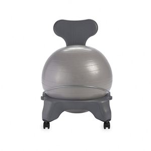 Silla Con Pelota De Yoga Y Soporte Lumbar - Silla De Equilibrio Para Oficina Y Fisioterapia - Aguantan Hasta 300 Kg