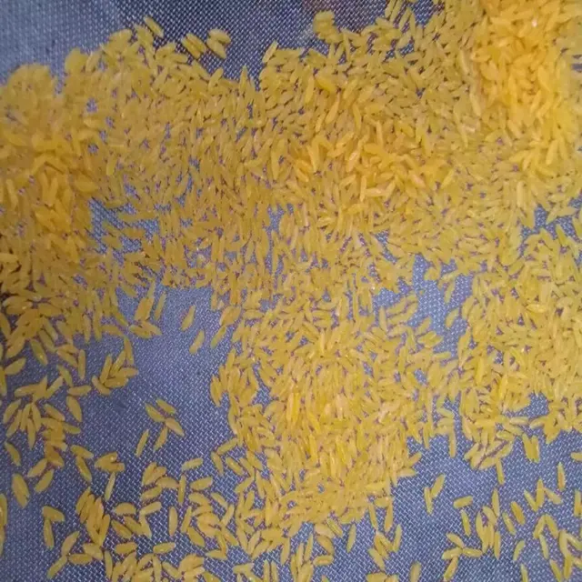 Высококачественный промышленный экструдер для риса с искусственным питанием