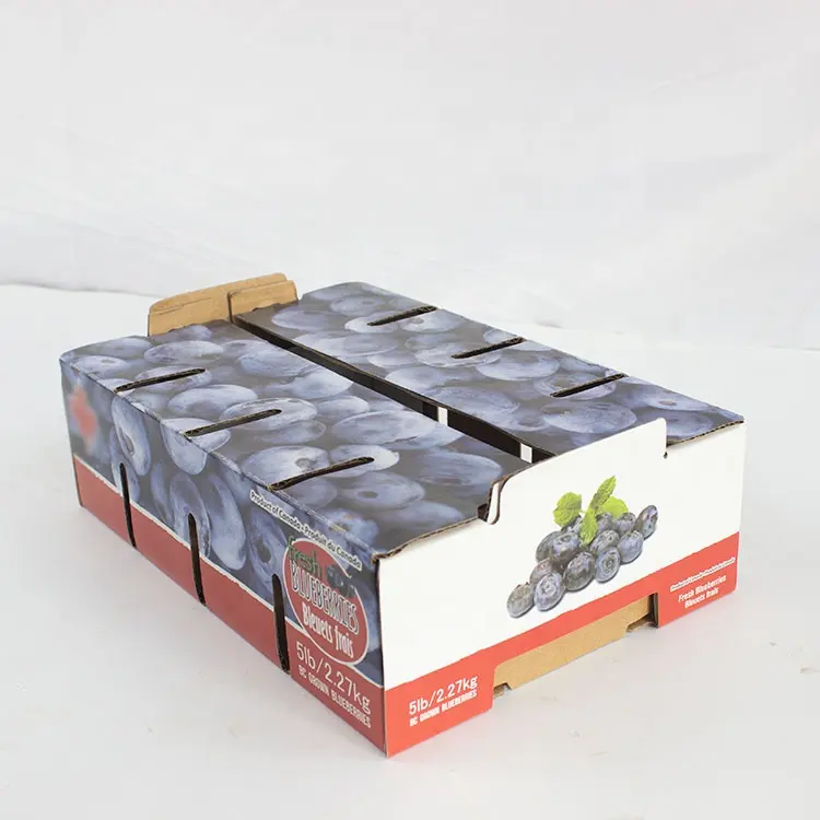 Caixa de embalagem de mirtilo de frutas personalizada de fábrica 51b