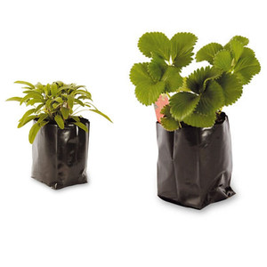Bac de culture en plastique opp, poly noir, pots de plantes, sacs pour pépinière de légumes - Product Image 5
