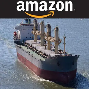 Porte À Porte Fret Maritime Services De Logistique De La Chine À USA Amazon FBA Entrepôt