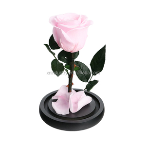 Kotak Mawar Alami Hadiah Hari Valentine Kualitas Tinggi Yang Pangeran Kecil Mawar Abadi Mawar Yang Diawetkan Dalam Kubah Kaca - Product Image 2