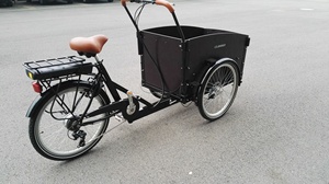 Triciclo Eléctrico de Carga Resistente de 250W con Cabina Delantera, Bicicleta Familiar para Niños con 3 Ruedas, Stock Europeo para Entrega en Almacén - Product Image 6