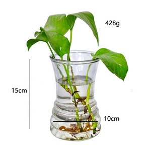 Simple moderno casa planta hidropónica florero de vidrio artesanal <span class=keywords><strong>vas</strong></span> - Product Image 2