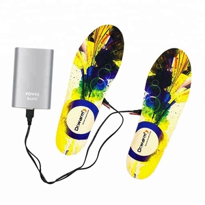 El Dr. caliente eléctrica batería climatizada calentamiento plantilla USB recargable plantillas climatizada para esquiar - Product Image 5