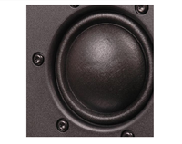 HiVi Hi-Fi Swans Haut-parleur médium-grave DMA-A avec unité de 50 mm, 80 W, 5 Ohms, 92 dB, avec bobine mobile de tweeter