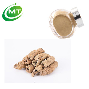Doğal organik Morinda officinalis nasıl özü/Morinda özü tozu