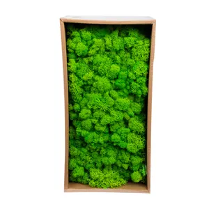Недорогой искусственный зеленый мох, натуральный оленевый мох для предварительного изготовления, Украшение стен