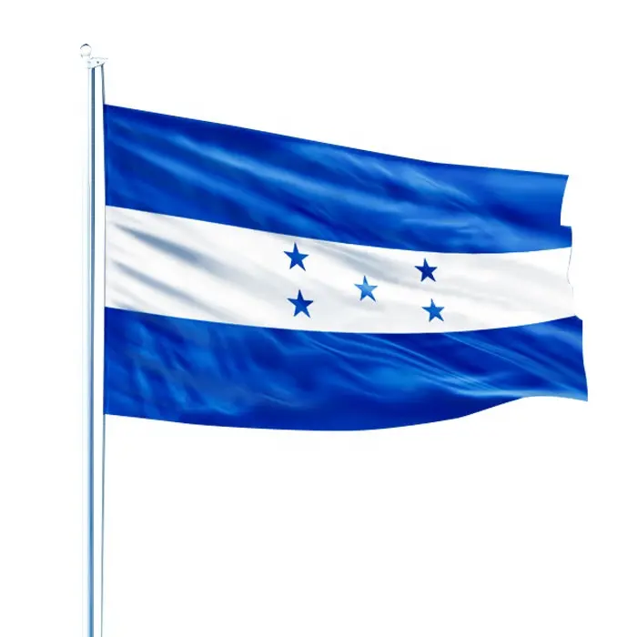 Tela de poliéster con estampado de alta calidad, bandera azul y blanca de 5 estrellas, 3x5 pies, Campaña de países de Perú