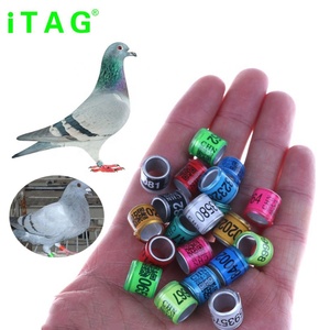Fabriek Bron Prijs Afdrukken Nummer <span class=keywords><strong>Benzing</strong></span> Duiven Ring Voor Vogels Identificatie - Product Image 6