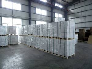 Alta prestazione di costo blu Immagine di Carta Autocopiante - Product Image 6