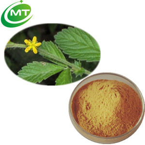Organic Agrimonia Pilosa <strong>Agrimony</strong> <strong>Extract</strong>
