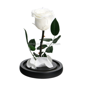 Kotak Mawar Alami Hadiah Hari Valentine Kualitas Tinggi Yang Pangeran Kecil Mawar Abadi Mawar Yang Diawetkan Dalam Kubah Kaca - Product Image 3