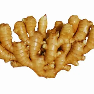 Gừng Tươi Mới/Gừng Khô/Jengibre/ Gingembre - Product Image 1