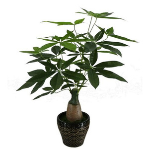 Nuovo Stile di Bonsai Artificiale Castagno di Malabar / Albero dei Soldi Finto per Decorazione - Product Image 2