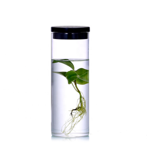 NUEVO Tarro <span class=keywords><strong>de</strong></span> planta <span class=keywords><strong>de</strong></span> vidrio <span class=keywords><strong>de</strong></span> terrario en miniatura al por mayor con tapa <span class=keywords><strong>de</strong></span> acero inoxidable Florero <span class=keywords><strong>de</strong></span> vidrio <span class=keywords><strong>de</strong></span> salida <span class=keywords><strong>de</strong></span> fábrica - Product Image 1
