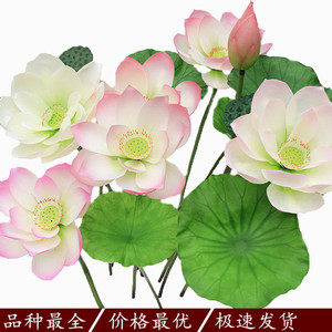 <span class=keywords><strong>Di</strong></span> alta qualità <span class=keywords><strong>di</strong></span> plastica artificiale <span class=keywords><strong>fiore</strong></span> <span class=keywords><strong>di</strong></span> loto giglio <span class=keywords><strong>di</strong></span> acqua per il giardino e decorazione della casa del <span class=keywords><strong>fiore</strong></span> - Product Image 3
