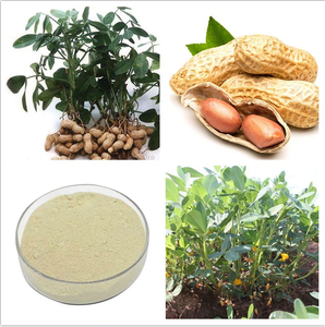 เครื่องดื่มที่ผ่านการรับรองจาก ISO9001ผงผลไม้อุดมด้วยวิตามิน luteolin 98% anthocyanin - Product Image 4