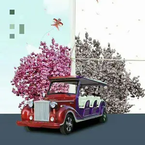 <span class=keywords><strong>Pas</strong></span> <span class=keywords><strong>cher</strong></span> price12 sièges électrique chariot de golf club de <span class=keywords><strong>voiture</strong></span> électrique <span class=keywords><strong>voiture</strong></span> <span class=keywords><strong>vintage</strong></span> à vendre - Product Image 3