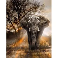 Bán Buôn 5d Tự Làm Sơn Kim Cương Cross Stitch Elephant Full Khoan Mosaic Hình Ảnh Kim Cương Thêu Trang Trí Tường Nhà