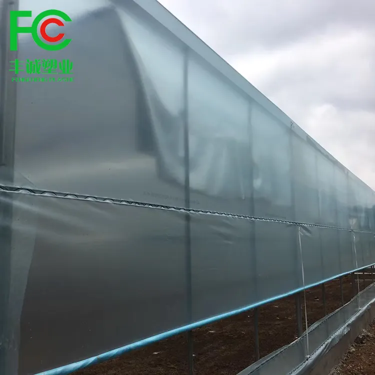 150 180 200 mícrons ldpe uv transparente filme plástico agrícola, Com Efeito de Estufa Filmes de Polietileno Clara folha de Cobertura 10m