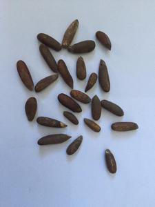 <span class=keywords><strong>Planta</strong></span> de peladora de piñones - Product Image 3