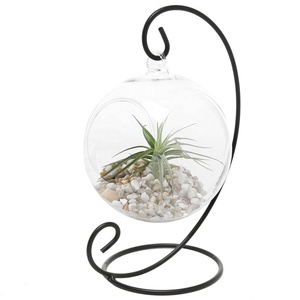 <span class=keywords><strong>Vase</strong></span> à fleurs de terrarium en <span class=keywords><strong>verre</strong></span> soufflé, <span class=keywords><strong>vase</strong></span> à fond <span class=keywords><strong>rond</strong></span>, bouche Offre Spéciale - Product Image 6