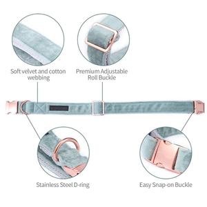 <span class=keywords><strong>Collar</strong></span> de terciopelo suave y cómodo para perro, collares ajustables para mascotas con hebilla de metal de oro rosa y correa a juego - Product Image 3