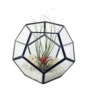 Manufacturer Football Shape Geometric Terrarium or Candle Holder Wedding Center Large Size clear Glass <strong>Flower</strong> <strong>Vases</strong> - Product Image 1