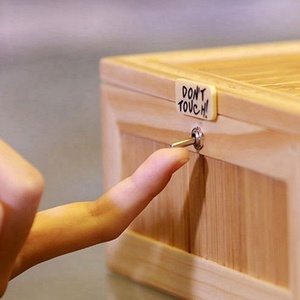 Boîte en bois sans contact, 16 pièces, pas Touch, jouet Tiger, cadeau avec son, nouvelle collection - Product Image 4
