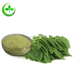 Supply pure moringa seed extract powder, ผงมะรุมใบ