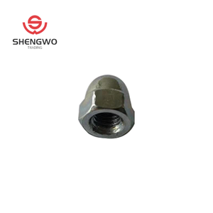 Venta al por mayor fabricante de china de calidad superior <span class=keywords><strong>acron</strong></span> hexagonal cúpula tapa loco DIN319 - Product Image 5