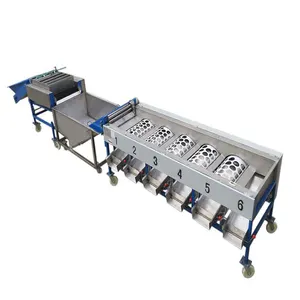 Litchi Plum Sortiermaschine Fruits Grader Machine