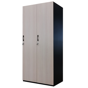 Niedriger Preis vertikal New bizoe rahmenlose doppelte 2-türige Kleidung Stahls chrank/Kleider schrank - Product Image 6