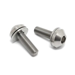 Gr2 de remache <span class=keywords><strong>perno</strong></span> de titanio fabricante - Product Image 1
