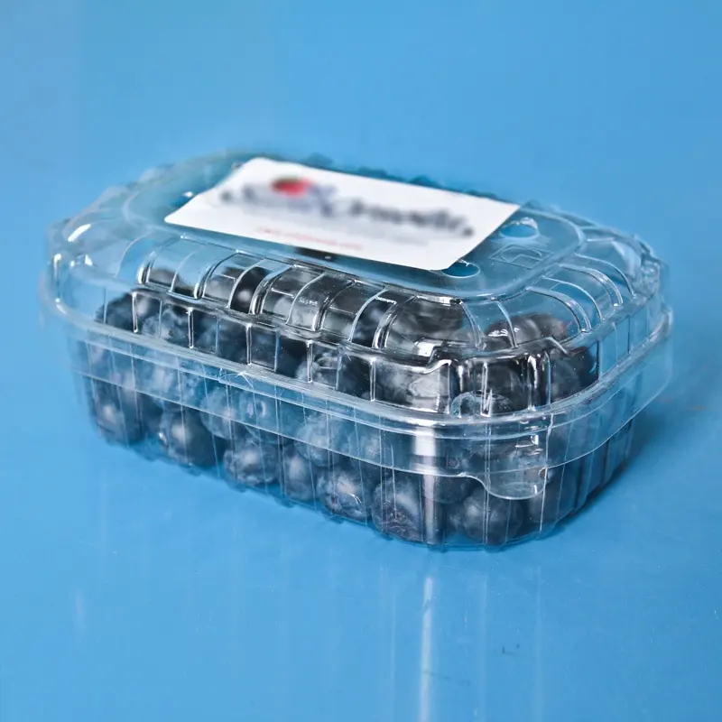 उच्च गुणवत्ता सीपी ताजा फल सब्जी कंटेनर कस्टम स्पष्ट बॉक्स ब्लूबेरी के लिए प्लास्टिक के कंटेनर